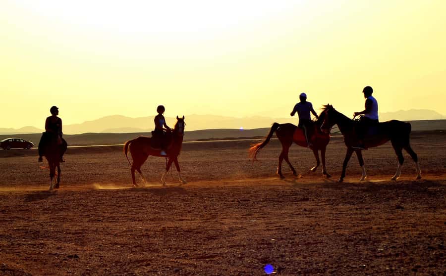 Hurghada: Arabian Desert and Sea Horseback Adventure - What the 2-Hour Ride Feels Like on Desert Trails and by the Sea
