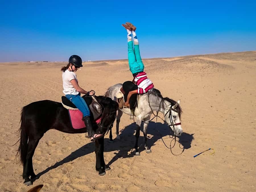 Hurghada: Arabian Desert and Sea Horseback Adventure - The Red Sea Swim Stop in the VIP 4-Hour Option