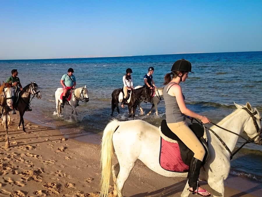 Hurghada: Arabian Desert and Sea Horseback Adventure - Oriental Breakfast, Dinner, Shows, and the Real Culture Side
