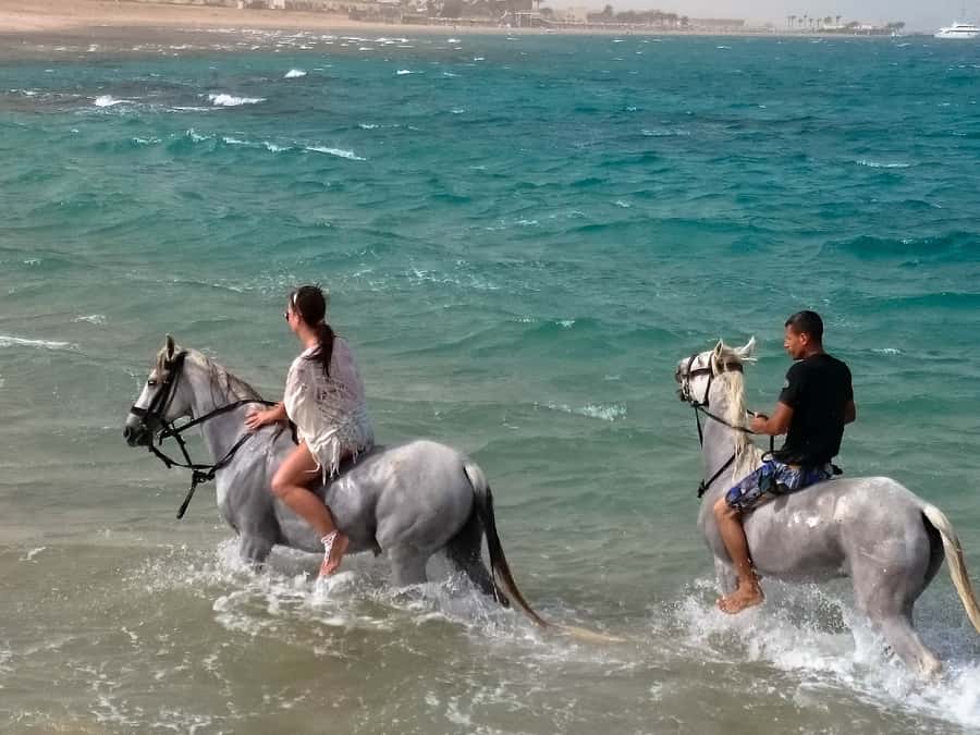 Hurghada: Arabian Desert and Sea Horseback Adventure - How to Handle the Weather and Bring the Right Stuff