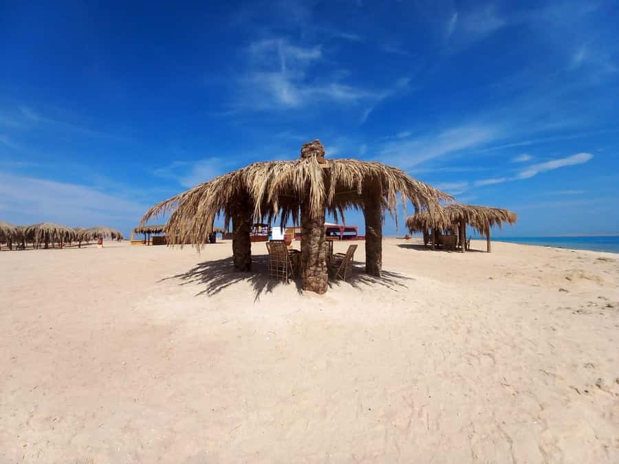Hurghada: Boat trip to Magawish island with Multi Options - Key points before you go