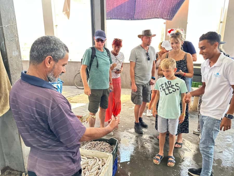 Hurghada: City Guided Tour with Local Market Stop - Getting oriented fast: pickup, transport, and the walking part