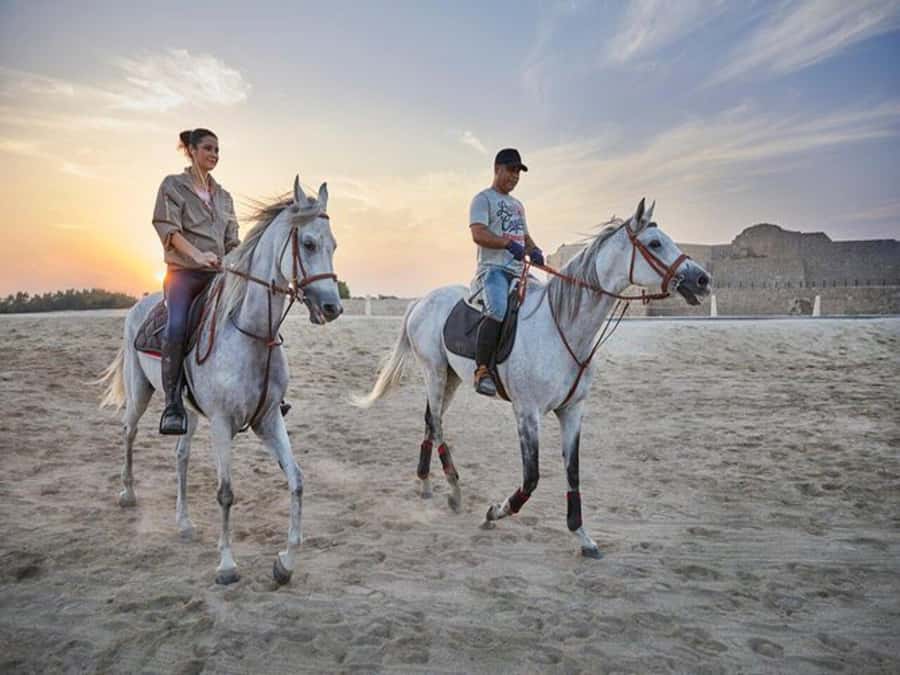 Hurghada: Desert and Sea Horseback Riding Tour with Transfer - Riding Through Desert and Into the Red Sea: The Big Idea