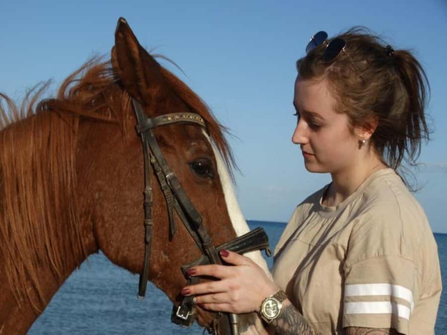 Hurghada: Desert and Sea Horseback Riding Tour with Transfer - At the Stable: Where You Meet the Horse and the Rules