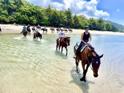 Hurghada: Desert and Sea Horseback Riding Tour with Transfer - Hotel Pickup and Transfer: Smooth Starts and Less Waiting