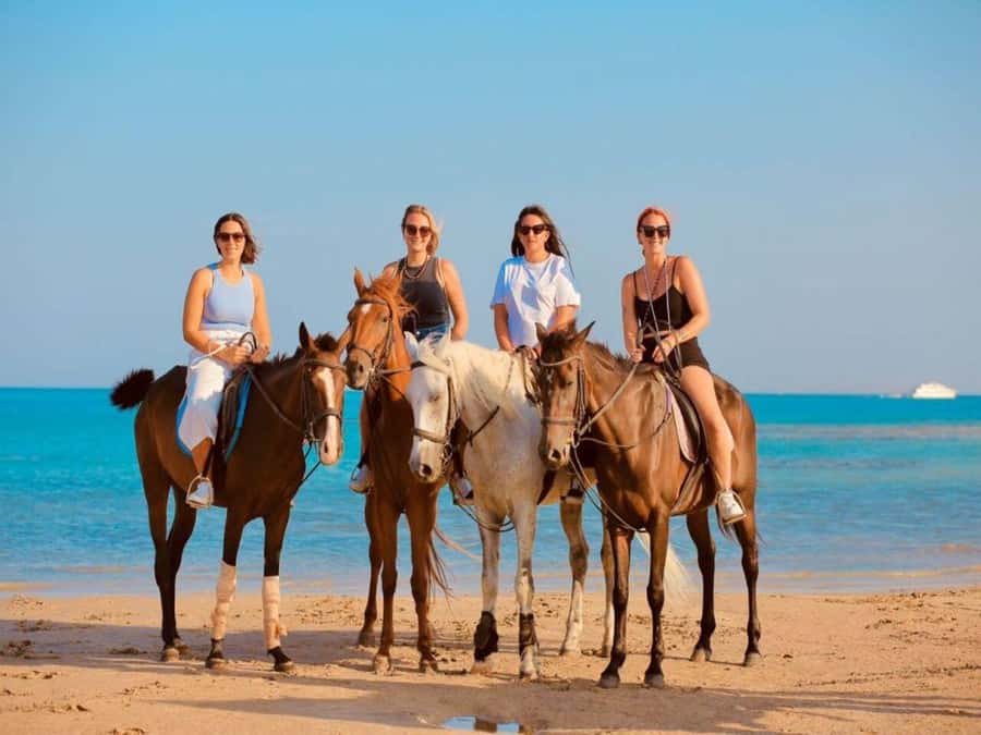 Hurghada: Desert and Sea Horseback Riding Tour with Transfer - Who This Tour Suits Best (And Who Might Want to Think Twice)