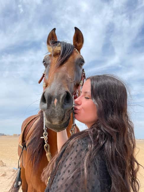 Hurghada: Desert & Sea Horse Riding with + 360° Photos - Learning to care for your horse: the underrated part
