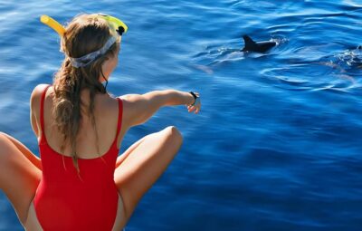 Hurghada: Dolphin Cruise with Snorkeling & Buffet Lunch - How dolphin spotting actually plays out (and what you can control)