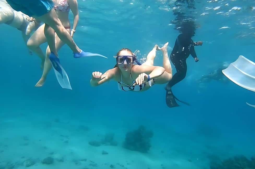 Hurghada: Dolphin Cruise with Snorkeling & Buffet Lunch - Who this tour is best for (and who should skip it)