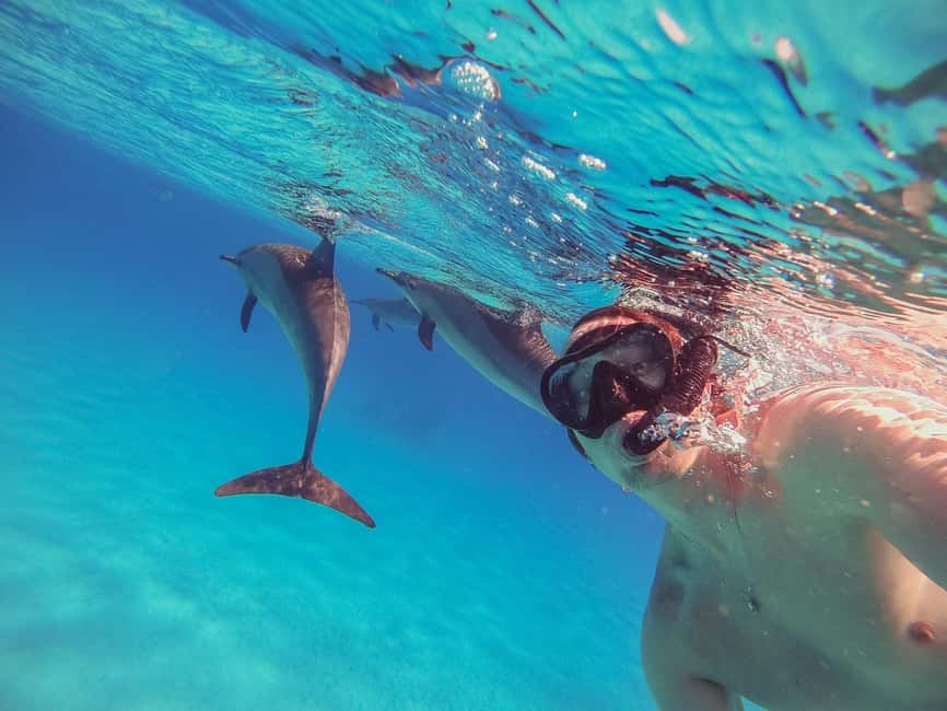 Hurghada: Dolphin Watching Boat Tour with Snorkeling & Lunch - Snorkeling two reefs with a real instructor