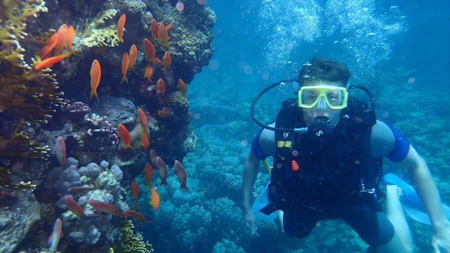 Hurghada: Full-Day Scuba Diving Tour with 2 Sites and Lunch - Who this Hurghada tour is best for