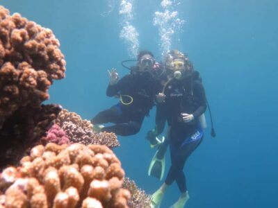 Hurghada: Full-Day Scuba Diving Tour with 2 Sites and Lunch - Pickup and getting to the bay (without guessing)