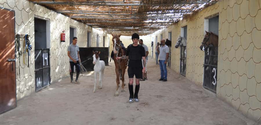 Hurghada: Horse Ride, BBQ Dinner, and Stargazing - Stargazing With a Telescope: How the Night Part Works