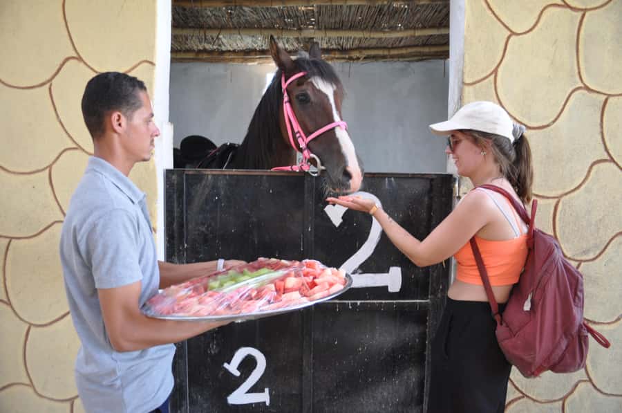 Hurghada: Horse Ride, BBQ Dinner, and Stargazing - The Return Off-Road Ride and Hotel Drop-Off