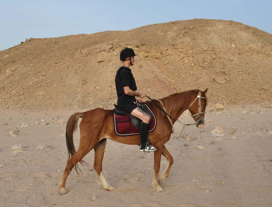 Hurghada: Horse Ride, BBQ Dinner, and Stargazing - Who This Hurts vs Who This Fits Perfectly