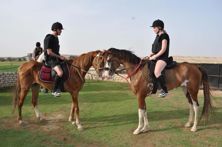 Hurghada: Horse Ride, BBQ Dinner, and Stargazing - The Oasis Arrival: Tea, Safety Rules, and Desert Calm