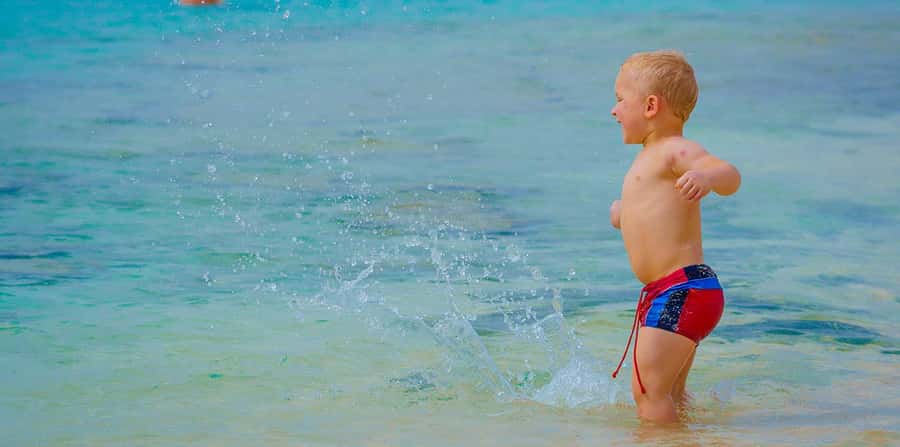 Hurghada: Hula Hula Cruise with Lunch, Massage, & Snorkeling - Price and value: is $26 per person really fair?