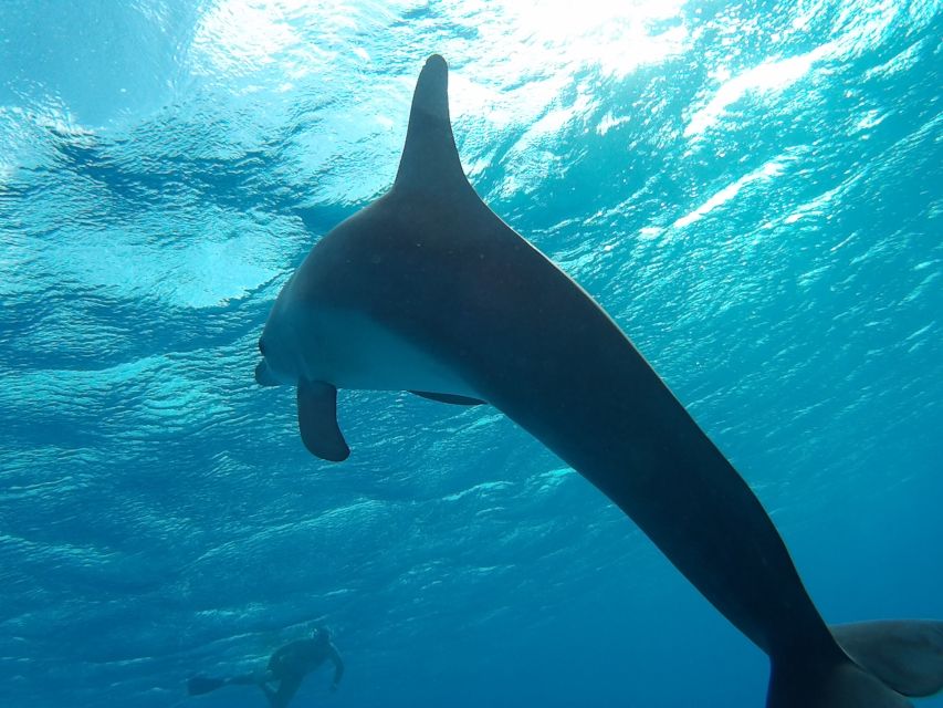 Hurghada: Luxury Orange Bay w/Snorkeling, Massage and Diving - Snorkeling at Giftun: Colorful Water and Real Instruction