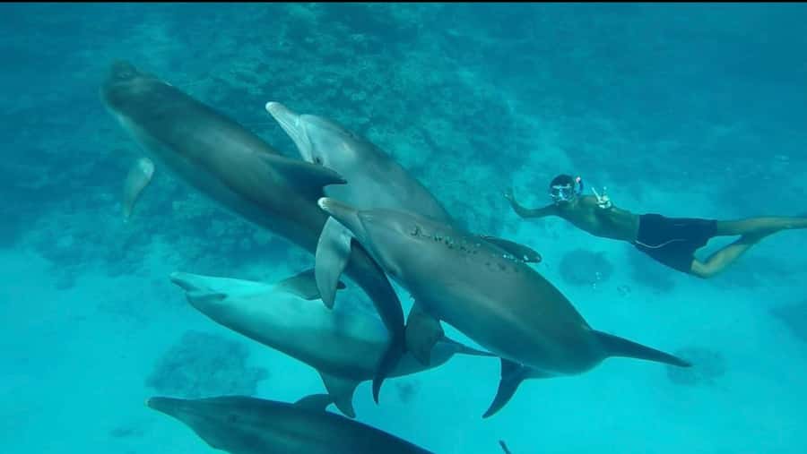 Hurghada: Luxury Yacht Trip with Personal Crew and Chef - Price and value: is $135 per person worth it?