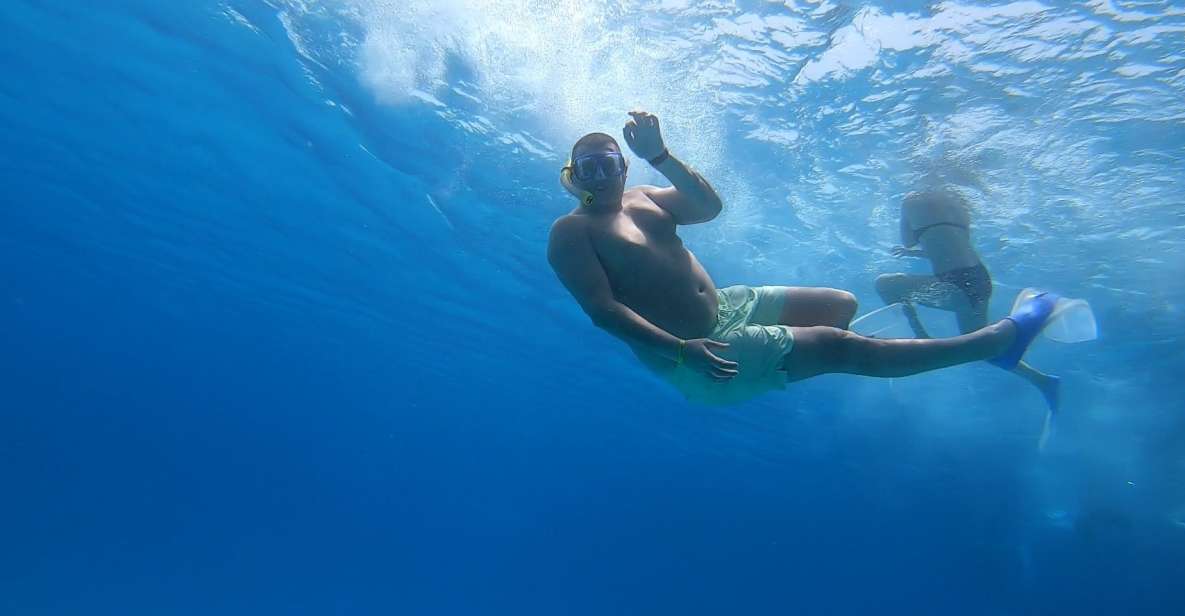 Hurghada or Makadi: Discover the Magic of Dolphin House - Why This Dolphin House Stop Can Be Worth It