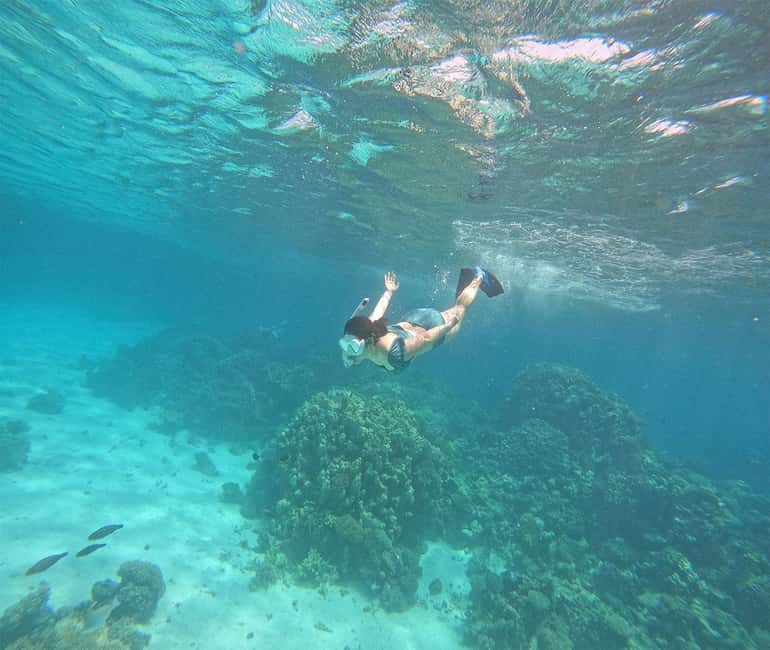 Hurghada or Makadi: Discover the Magic of Dolphin House - Snorkeling at Two Spots: Coral, Fish, and Guide Help