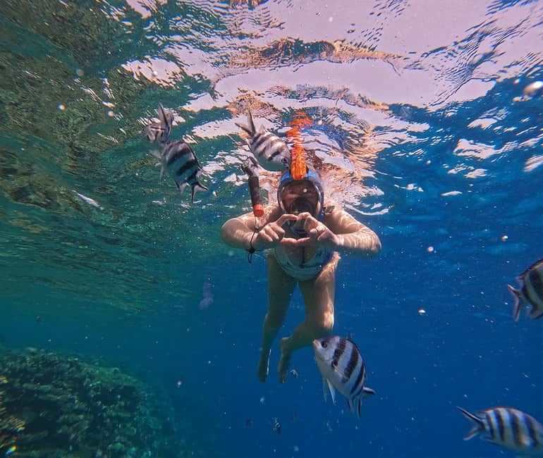 Hurghada or Makadi: Discover the Magic of Dolphin House - Food and Drinks: Simple, Filling, and Actually Useful