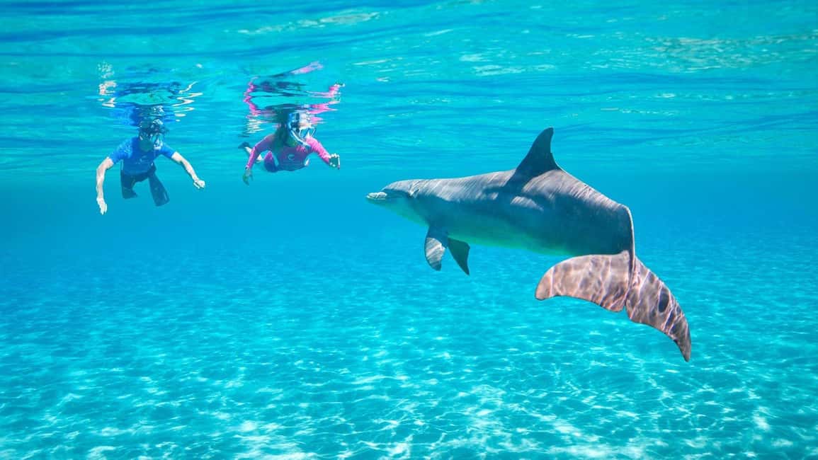 Hurghada or Makadi: Discover the Magic of Dolphin House - Your Day on the Water: From Pickup to On-Board Lunch