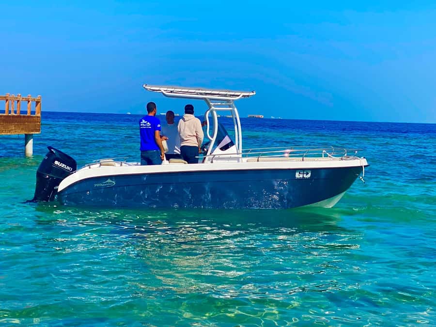 Hurghada: Orange Bay Dolphin Watching, Snorkeling & Lunch - Two Snorkeling Stops at Giftun Area Water