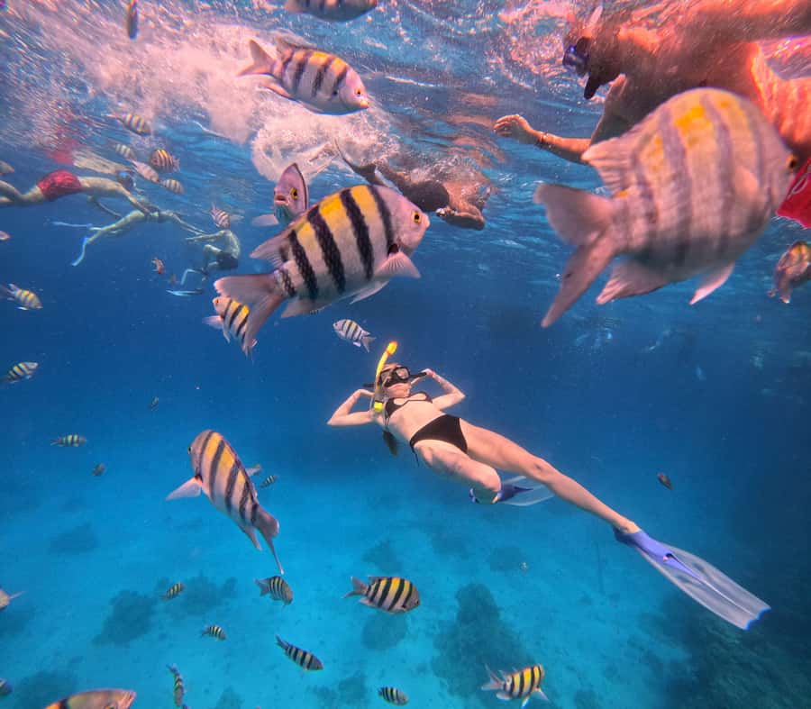 Hurghada: Orange Bay Island Boat Trip w/ Breakfast and Lunch - Who This Trip Is For (And Who Should Think Twice)