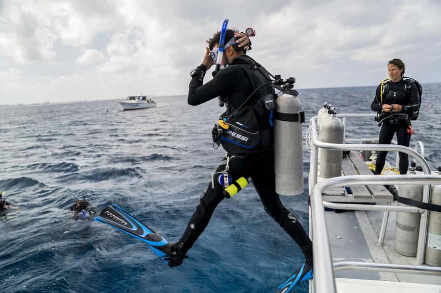 Hurghada: PADI Diving Courses packages - What You’ll Likely See Underwater (and Why Visibility Matters)