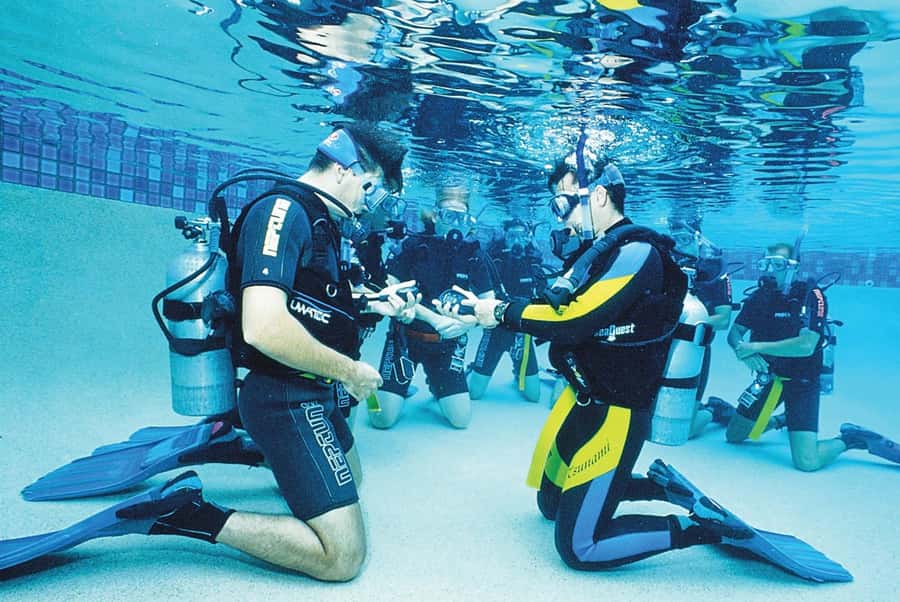 Hurghada: PADI Diving Courses packages - Provider and Group Setup: How the Day Will Feel