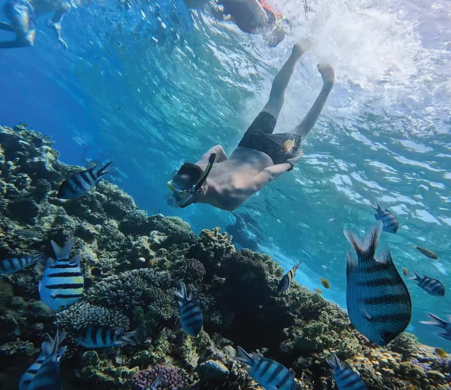 Hurghada: Premium Orange Island Cruise with Lunch & Transfer - Key points before you go