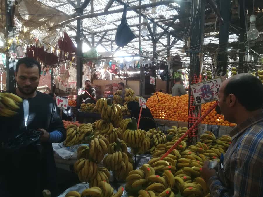 Hurghada: Private Guide City Tour & Shopping Stop - Key highlights worth your attention