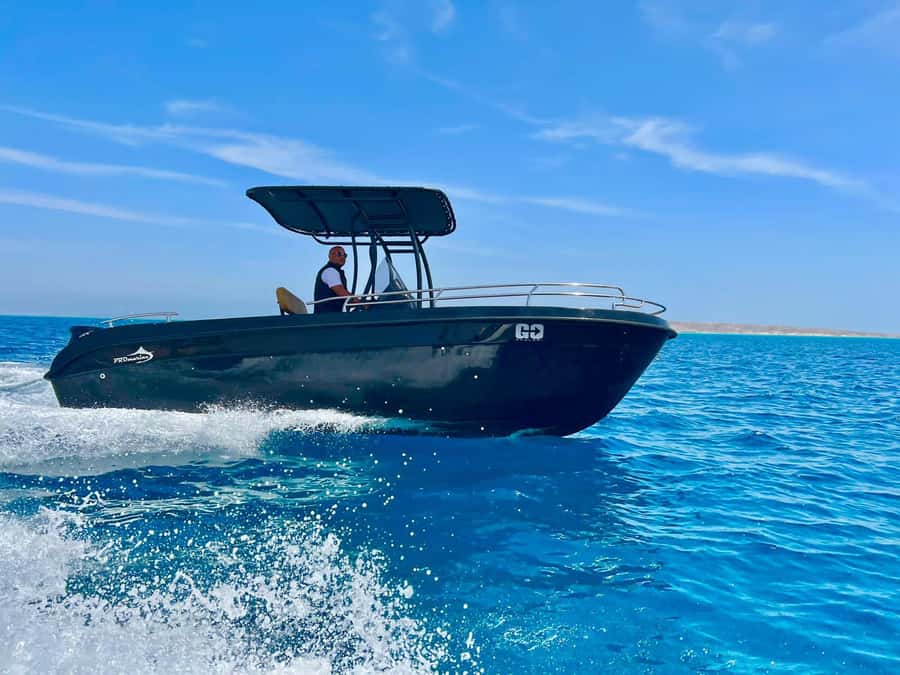 Hurghada: Private Speedboat Adventure with Snacks & Pick-up - Dolphin chasing on the Red Sea: thrilling, but play it smart