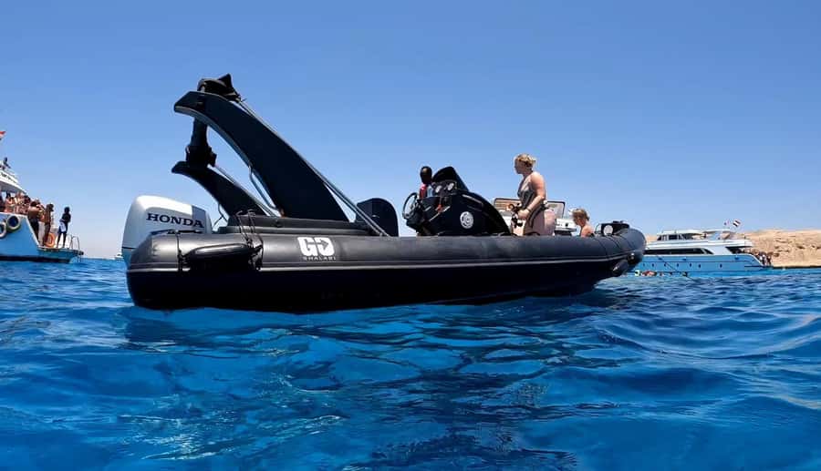 Hurghada: Private Speedboat to Dolphin House with Pickup - Who This Tour Suits Best (And Who Should Think Twice)