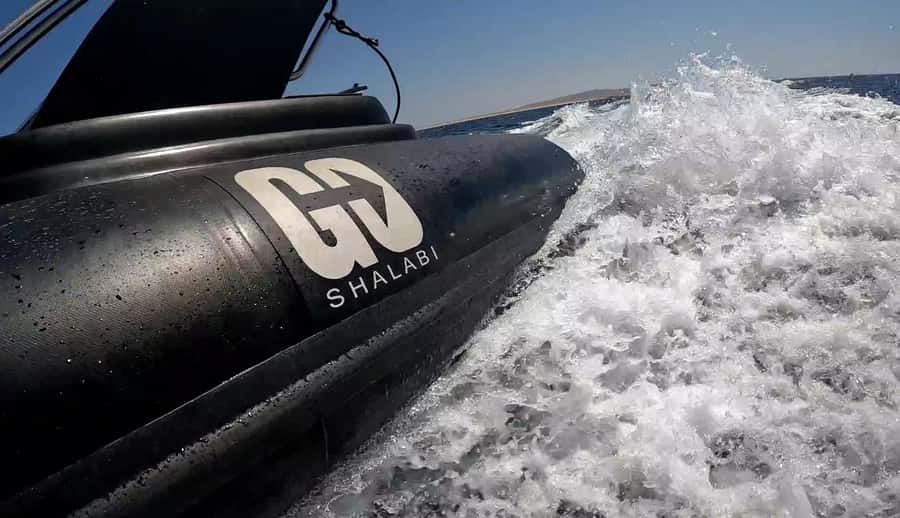 Hurghada: Private Speedboat to Dolphin House with Pickup - “Add-on Fly” for Up to 10 Minutes: Above and Below the Red Sea