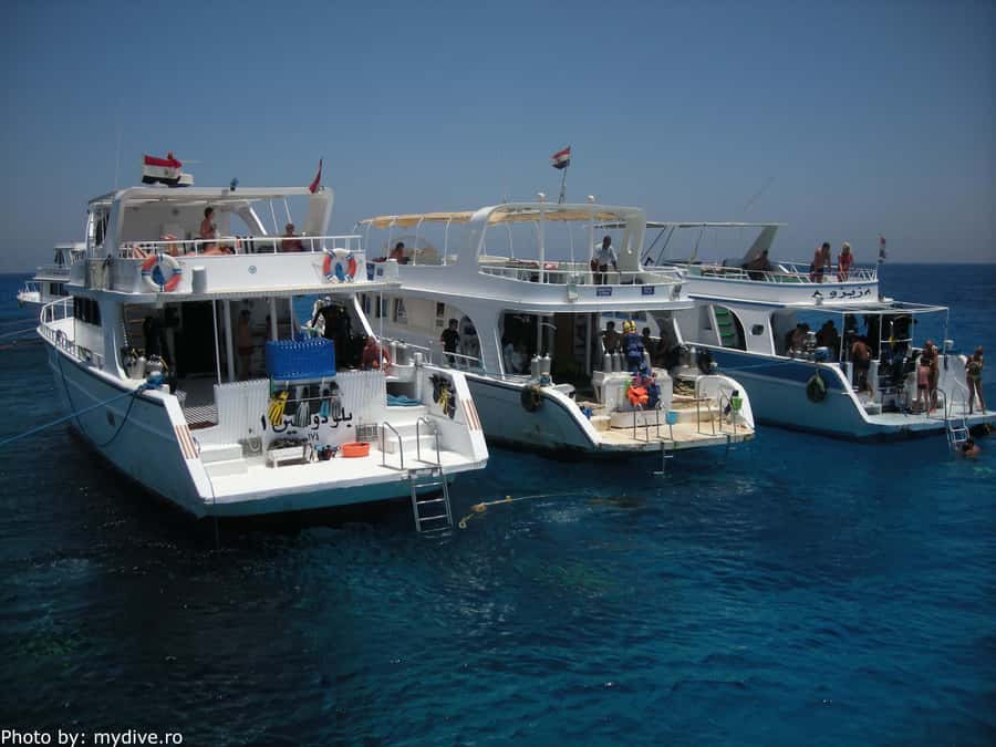 Hurghada, Professionals Diving in Open Water Tour with Lunch - Price and Value: What You Get for $72 (and the One Extra Cost)