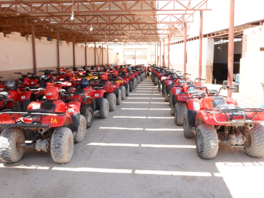 Hurghada Quad & ATV Ride with Camel, Desert Vibes & Sea View - 2 hours on quads and ATVs: guided speed, sand skill, and group pacing