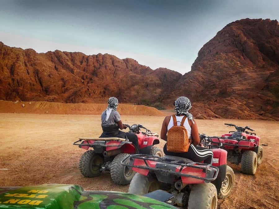 Hurghada: Quad Bike, Sea, Camel, Safari, Stargazing & Dinner - Oriental dinner and live show: what you’ll do after sunset