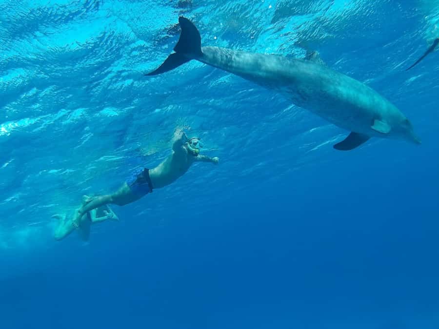 Hurghada: Royal Orange Bay with Massage, Snorkeling & Lunch - Massage on board: the highlight that makes this trip feel special