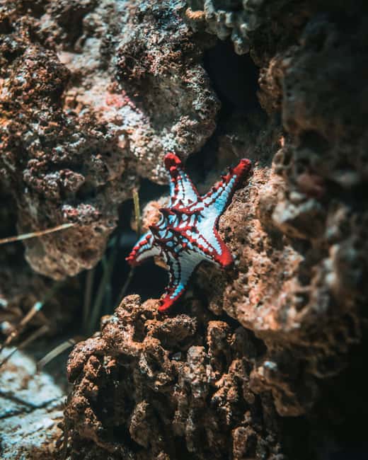 Hurghada: Scuba Diving for Beginners & Certified Divers - The boat ride: your downtime between the action
