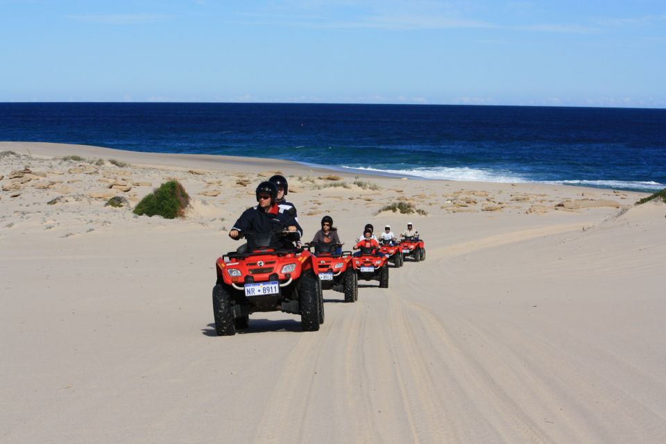 Hurghada: Sea and Mountains Quad or Buggy Family Tour - Key highlights you’ll care about