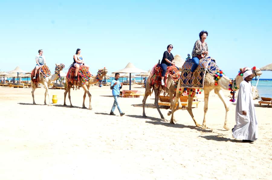 Hurghada: Sea & Desert Camel Ride w/Dinner, Show, Stargazing - Who Should Book This Hurghada Camel and Stargazing Experience?