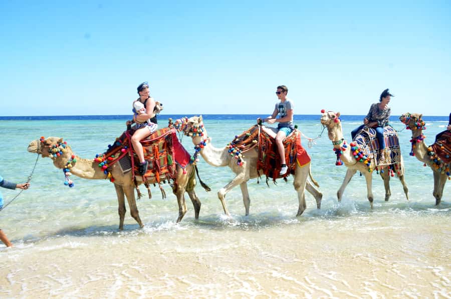 Hurghada: Sea & Desert Camel Ride w/Dinner, Show, Stargazing - Guides and Group Dynamics: The Human Part That Makes It Work
