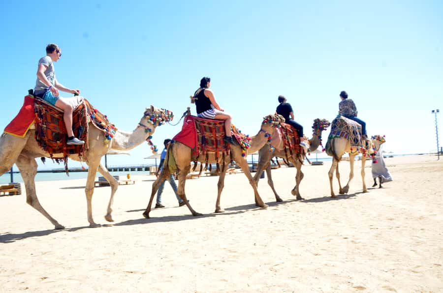 Hurghada: Sea & Desert Camel Ride w/Dinner, Show, Stargazing - What to Pack: Comfort, Sand, and the Small Stuff That Saves the Day