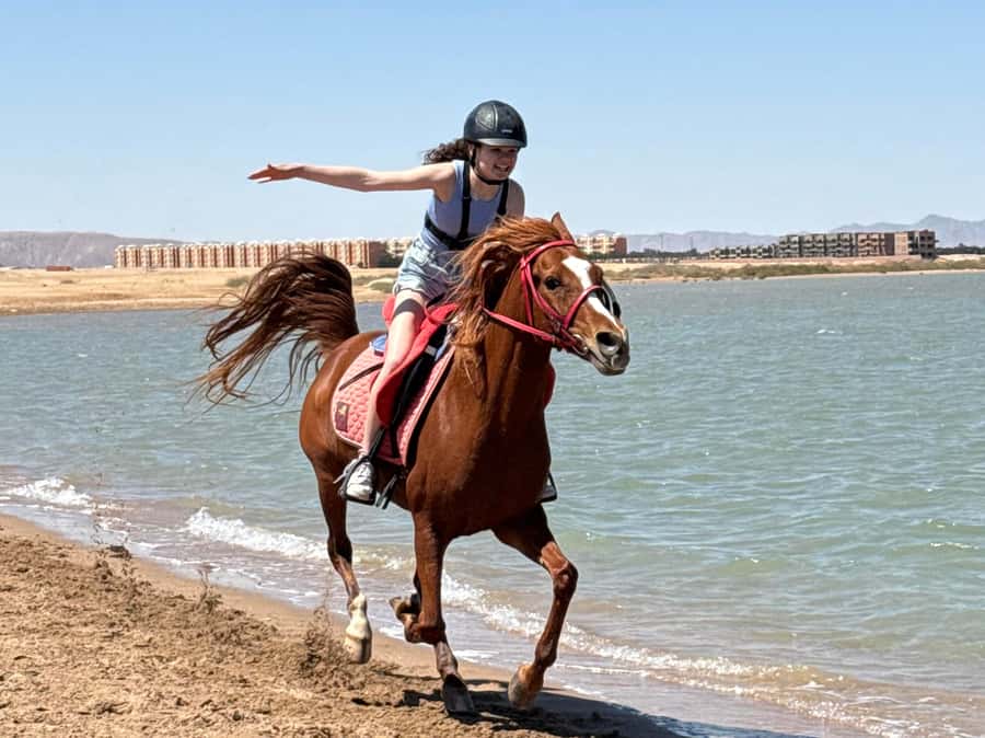 Hurghada: Sea & Desert Horse Riding tour/w Swimming&Transfer - Entering Lucky Horses Stable in Hurghada (and not getting lost)