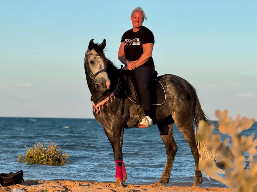 Hurghada: Sea & Desert Horse Riding tour/w Swimming&Transfer - Price and logistics: transfers, time, and where the day can get tight