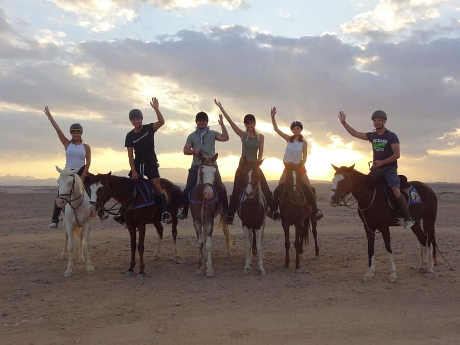 Hurghada: Sea & Desert Horse Tour, Stargazing, Dinner & Show - Desert-to-Sea Horse Riding in Hurghada: What Makes This Feel Special