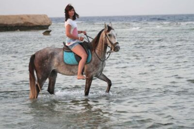 Hurghada: Sea & Desert Horse Tour, Stargazing, Dinner & Show - Your Best Time Slot: Sunrise Breakfast, Regular Ride, or Sunset Dinner + Stars