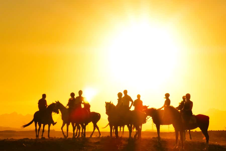 Hurghada: Sea & Desert Horse Tour, Stargazing, Dinner & Show - The 2-Hour Ride: Desert Valleys, Photo Stops, and Coastal Magic